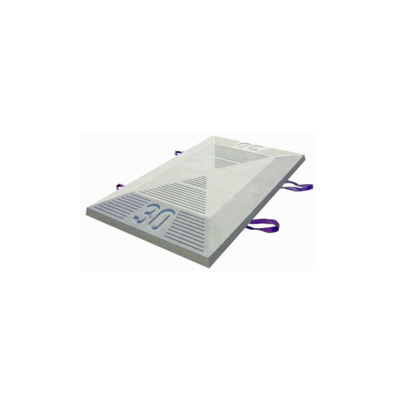 Ralentisseur Coussin Lyonnais