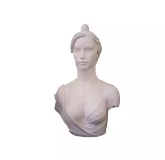 Buste de Marianne Républicaine modèle CASTA - Net Collectivités