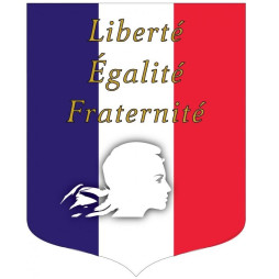 Visuel de l'écusson porte-drapeaux - Tricolore + Liberté Égalité Fraternité - Gamme éco - conforme Loi Peillon