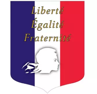 Visuel de l'écusson porte-drapeaux - Tricolore + Liberté Égalité Fraternité - Gamme éco - conforme Loi Peillon