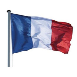 Achat de petits drapeaux français, lot de petits drapeaux de France à  agiter - Net Collectivités