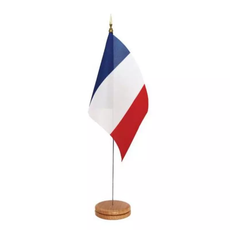 Lot de 10 mini drapeaux tricolores France de table - en maille