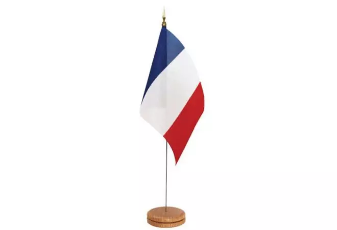 Lot de 10 mini drapeaux tricolores France de table - en maille