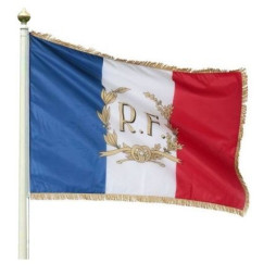 Le pavillon tricolore France RF + Palmes personnalisation offerte - Net Collectivités