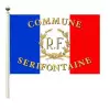 Le pavillon tricolore France RF + Palmes personnalisation offerte - Net Collectivités