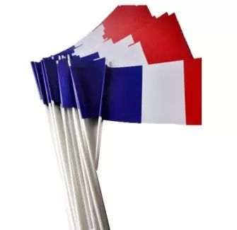 Lot de 50 ou 100 drapeaux tricolore français en papier à agiter - Net Collectivités