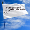 Le drapeau de la Région Nouvelle Aquitaine - Net Collectivités