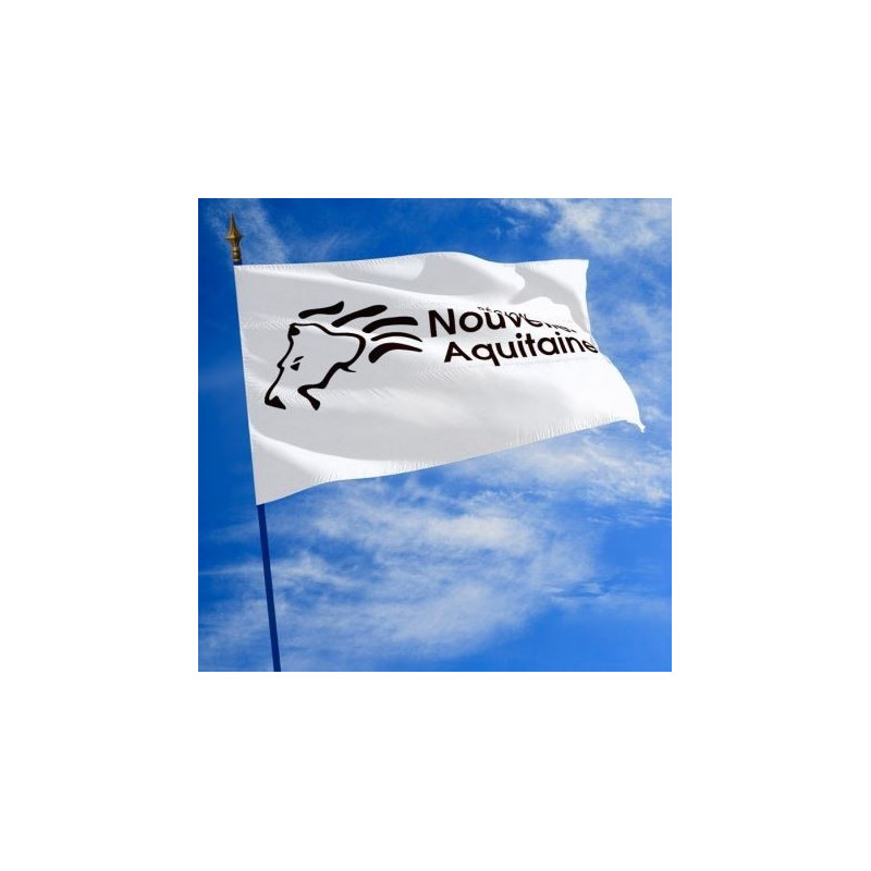Le drapeau de la Région Nouvelle Aquitaine - Net Collectivités