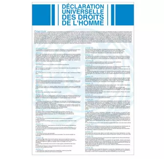 Affiche de la Déclaration Universelle des Droits de l'Homme