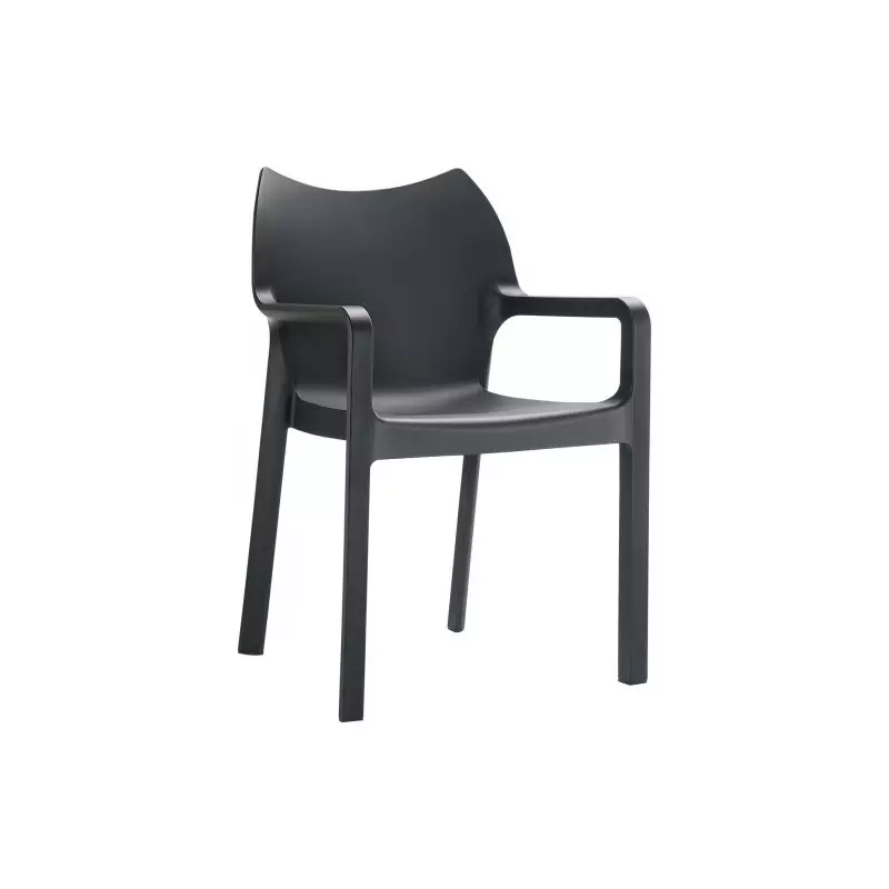 Beau fauteuil noir très design pour intérieur ou extérieur