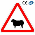 Panneau routier annonçant une traversée d'ovins probable