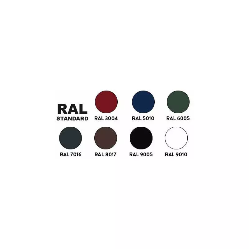 Peins selon 7 coloris RAL standard sur acier