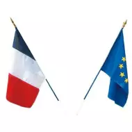 Drapeaux français à agiter matière indéchirable 9,5 x 16 cm (le