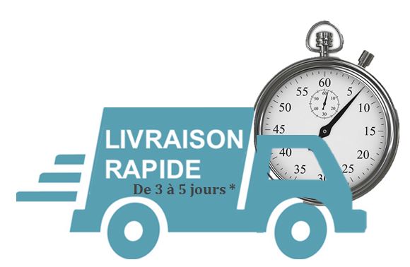 logo-livraison-rapide-netcollectivites.J